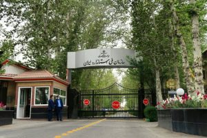 استانداردهای تبعیض آمیز «سازمان ملی استاندارد ایران» در صنعت خودرو! / تولید «نیسان آبی» در ایران با 5 دهه قدمت، چرا و چگونه؟